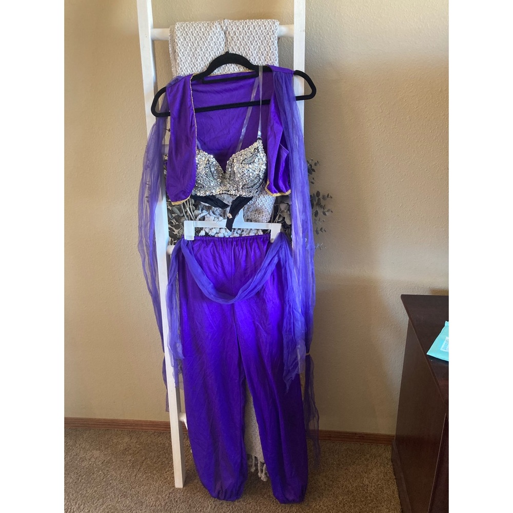 Gypsy/belly dancer Halloween costume